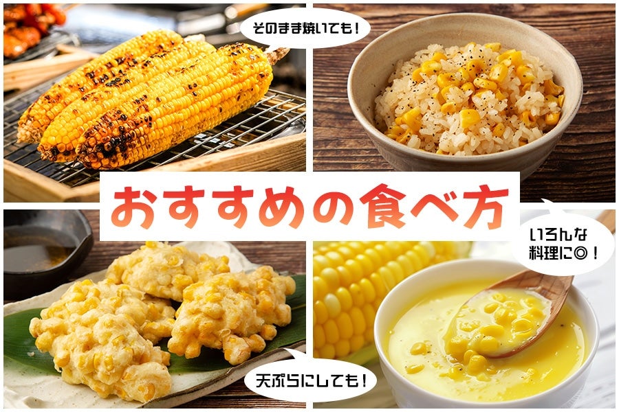 とうもろこし【ゴールドラッシュ】約2.5kg（6本入り）6月15日頃より