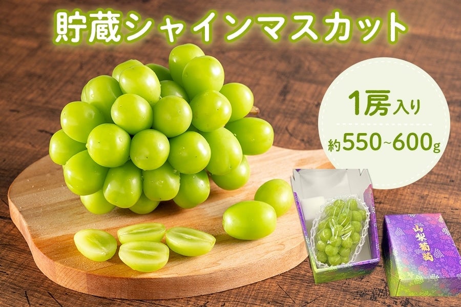 貯蔵シャインマスカット 約550〜600g 1房入り 12月上旬頃より発送