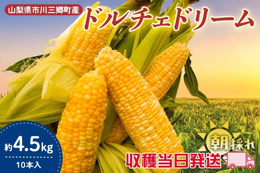 【山梨県市川三郷町産】ドルチェドリーム 約4.5kg(10本入り)6月20日頃より発送予定【収穫当日発送】