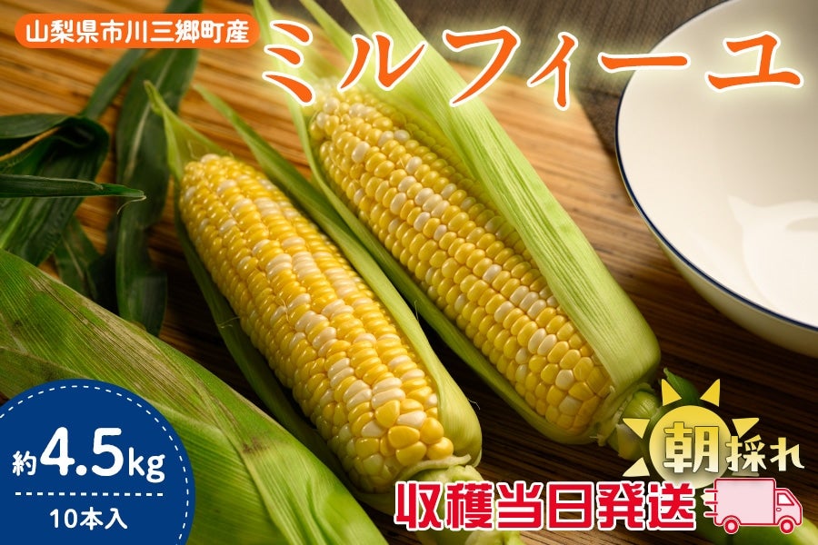 【山梨県市川三郷町産】 とうもろこし【ミルフィーユ】約4.5kg(10本入り )6月1日頃より発送予定【収穫当日発送】