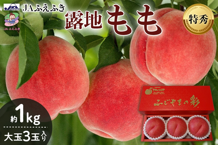 JAふえふき】露地もも 約1㎏ 特秀大玉 3玉入り ※7月中旬頃より順次発送