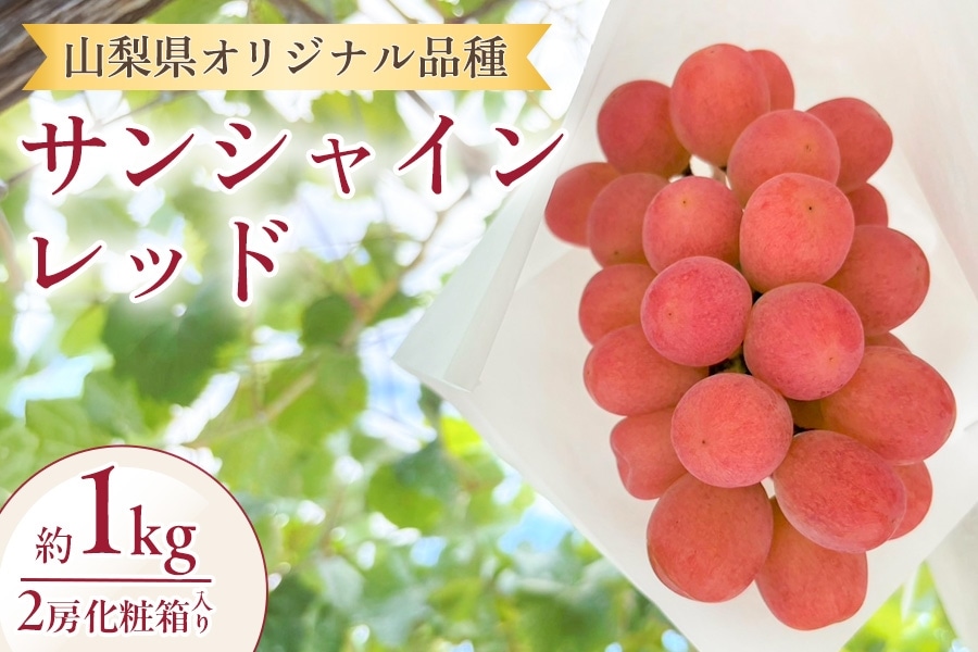 頒布会】 サンシャインレッド 約1kg 2房入り: フルーツ王国やまなし
