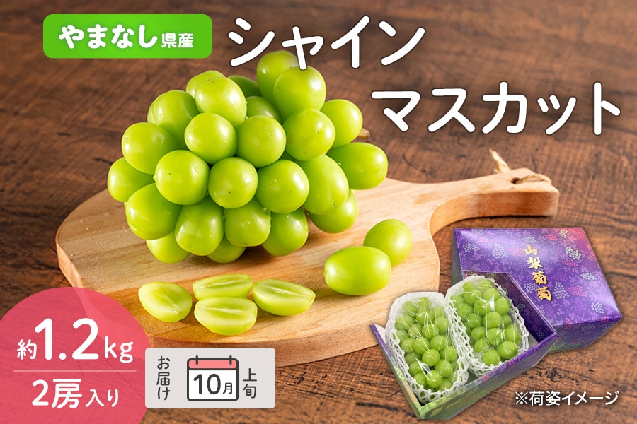 シャインマスカット 約1.2kg 2房入り 10月上旬お届け: フルーツ王国