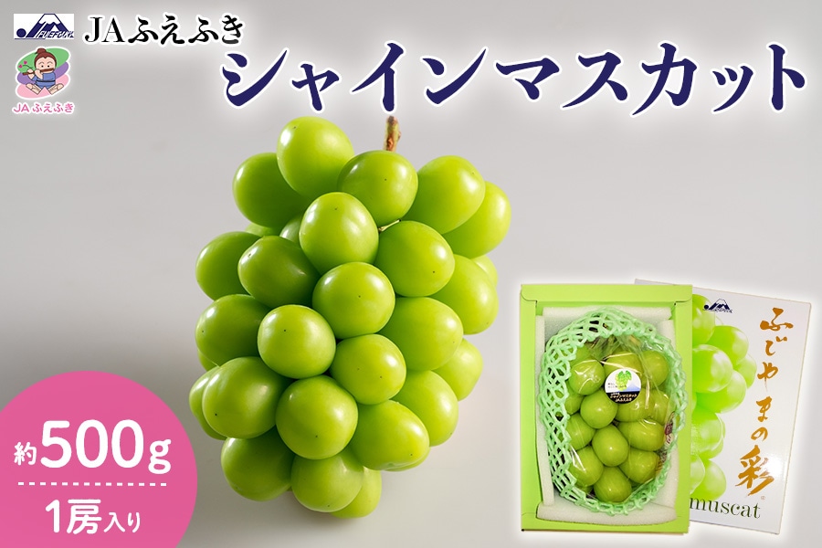 JAふえふき】シャインマスカット 約500g 1房入り 9月中旬～下旬お届け
