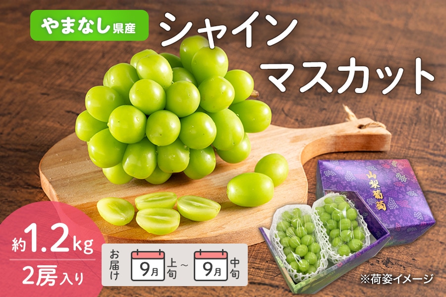 秋のJAタウン祭り】山梨県産シャインマスカット 約1.2kg 2房入り 9月