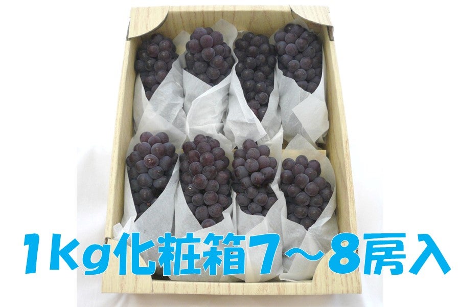 母の日】 温室ぶどう デラウェア 約1㎏: フルーツ王国やまなし|【ＪＡタウン】産地直送 通販 お取り寄せ