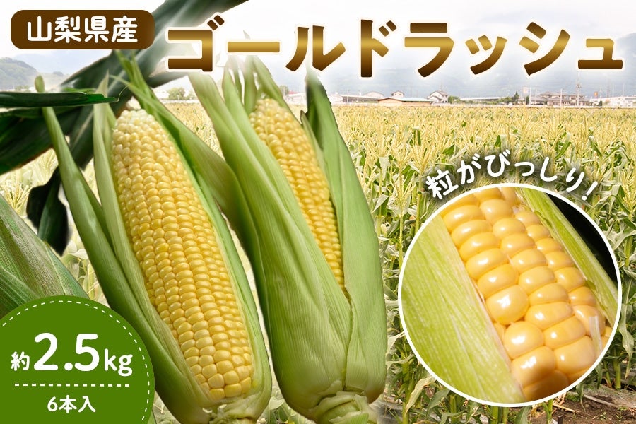とうもろこし【ゴールドラッシュ】約2.5kg（6本入り）6月15日頃より
