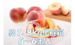 G߂̓@7{璆{ɂ͂@1.8s@5`6