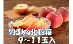 G߂̓@7{璆{ɂ͂@3s@9`11
