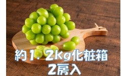 VC}XJbg@2[@1.2s@9{璆{ɂ͂
