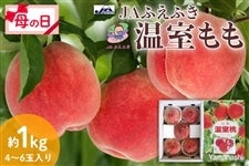 �y��̓��z ���������@4�`6�ʓ���@��P�s