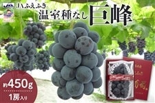JAふえふき】温室種なし巨峰 約450g 1房 ※6月下旬頃から発送: フルーツ