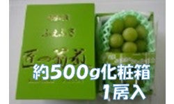 yJAӂӂzVC}XJbg@500g@1[@6{甭