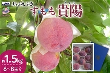 JAふえふき】 すもも（貴陽） 約1.5㎏ 7月中旬にお届け予定: フルーツ