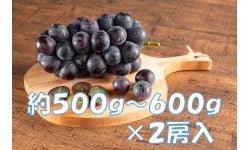 햳@1.1kg@2[@8{蔭