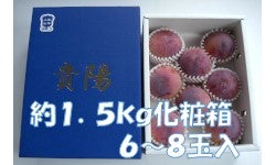 yJAӂӂz iMzj@1.5s@6{甭