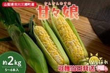 �y�R�����s��O�����Y�z�ÁX���@��2kg�i5�`6�{����j6��12������蔭���\��y���n���������z