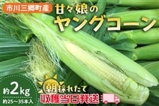 �y�s��O�����Y�z�ÁX���̃����O�R�[���@��2kg�@(��35�{����)�@5��15������蔭���\��y���n���������z