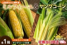 �y�R�����s��O�����Y�z�~���t�B�[���������O�R�[���Z�b�g�i6�{��30�{����j5��30������蔭���\��y���n���������z