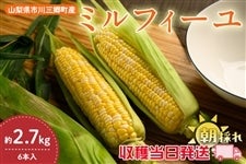 �y�R�����s��O�����Y�z �Ƃ����낱���y�~���t�B�[���z��2.7kg�i6�{����j6��1������蔭���\��y���n���������z