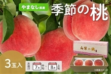 季節の桃 7月中旬から8月上旬にお届け 3玉入り: フルーツ王国やまなし