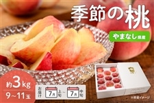 桃（もも）|【JAタウン】産地直送 通販 お取り寄せ