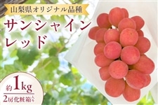 �T���V���C�����b�h�@��1kg�@2�[����@9����{���璆�{���͂�