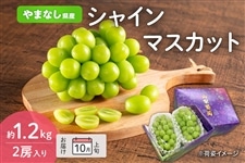 ぶどう|【JAタウン】産地直送 通販 お取り寄せ