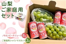 山梨ご家庭用セット（ご家庭用シャインマスカット2房・ノももンピーチ
