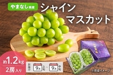 秋のJAタウン祭り】山梨県産シャインマスカット 約1.2kg 2房入り 9月