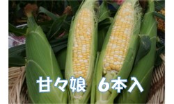 �Ƃ����낱���y�ÁX���z�@�U�{����@�U���U������菇������
