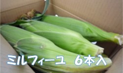 �Ƃ����낱���y�~���t�B�[���z�@�U�{����@�U���U������菇������