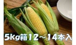 Ƃ낱yS[hbVz@5s@12`14{@