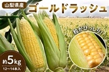 �Ƃ����낱���y�S�[���h���b�V���z��5kg�i12�`14�{����j6��15������蔭��