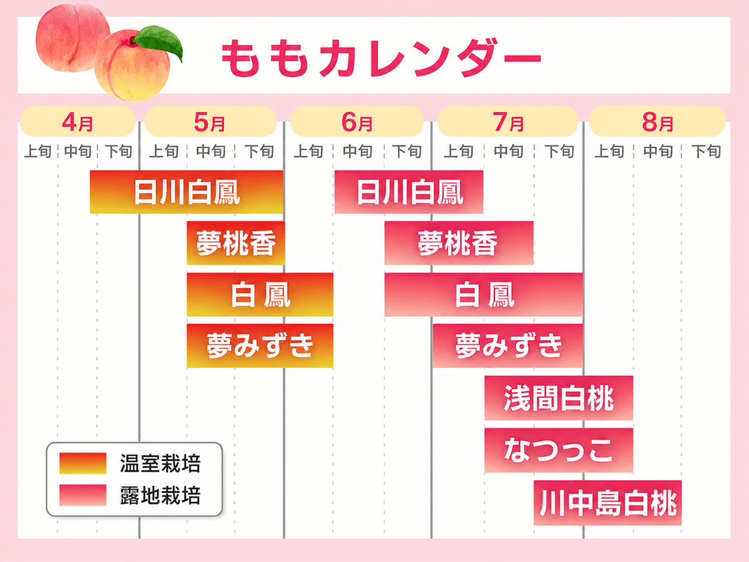 季節の桃 7月上旬から中旬にお届け 約1.8㎏ 5～6玉: フルーツ王国