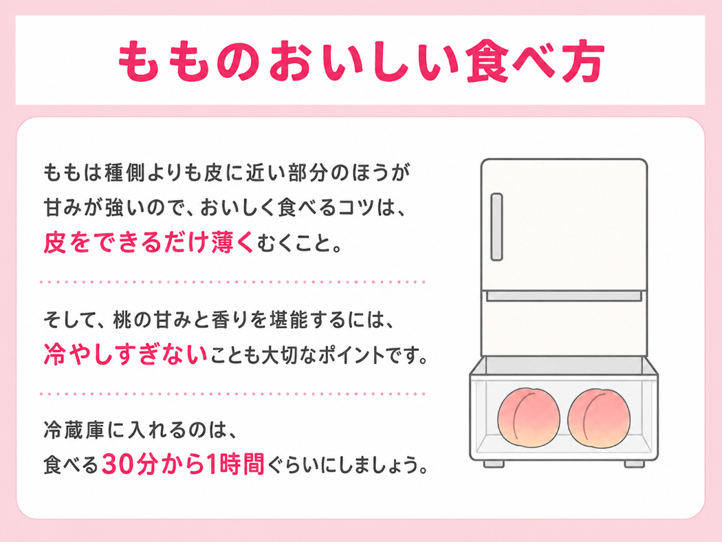 季節の桃 7月上旬から中旬にお届け 約1.8㎏ 5～6玉: フルーツ王国
