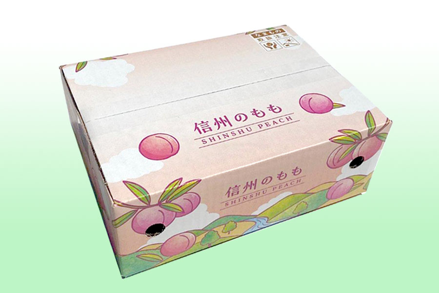 JAグリーン長野 輝々桃 中玉約3kg(11玉)×1箱【贈答箱】7月21日-8月10