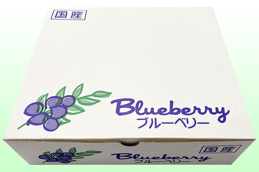 長野　高原育ちの完熟大粒ブルーベリー冷凍　1kg - 3