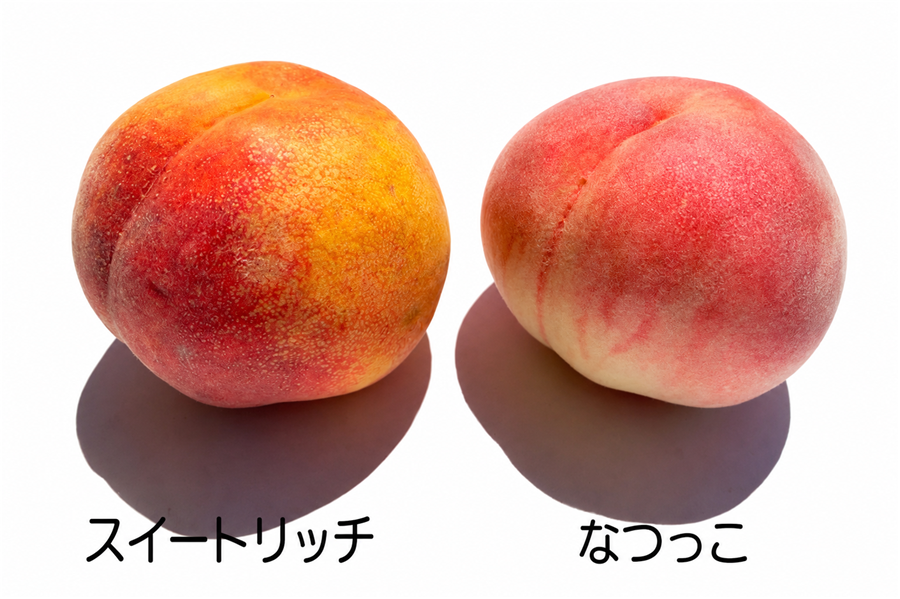 JAグリーン長野 スイートリッチ＆なつっこ食べ比べセット 輝々桃 約2kg