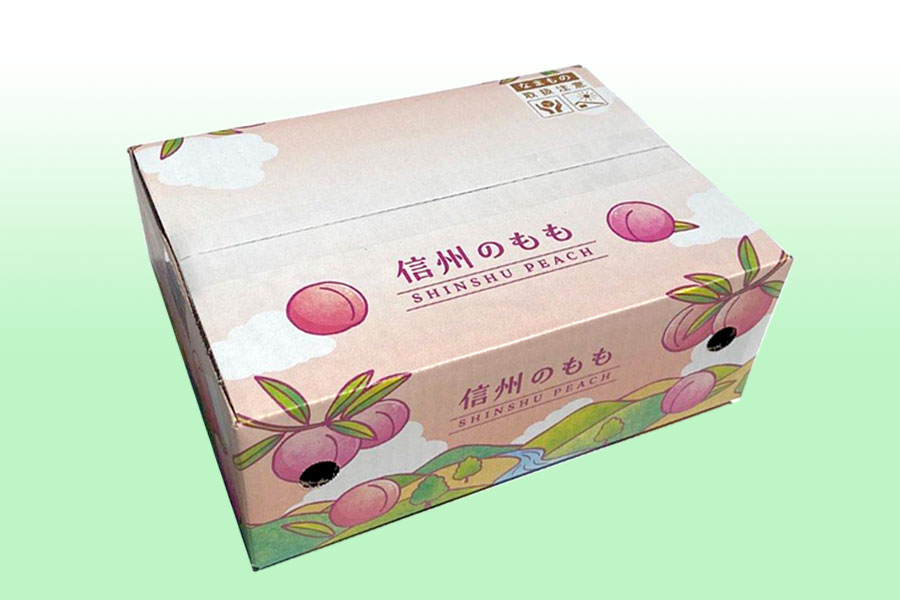 JAグリーン長野 川中島白桃 輝々桃 大玉約2kg(5-7玉)×1箱【贈答箱】8月