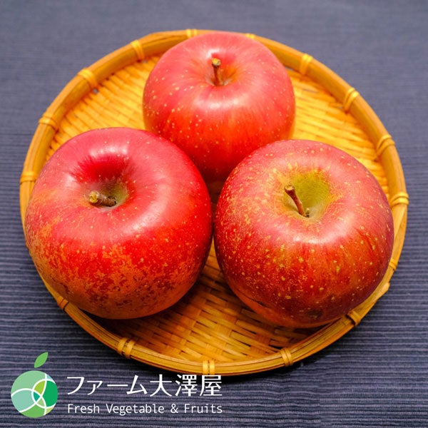 ファーム大澤屋 サンふじ 名人のはねだしりんご 家庭用 約5kg(10-16玉)