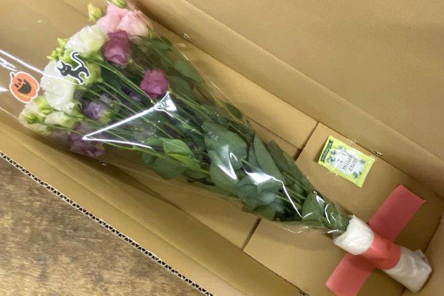産地直送 通販 お取り寄せjaグリーン長野 トルコギキョウ 切り花10本 60cm前後 10月15日以降発送 全農長野 僕らはおいしい応援団 ｊａタウン