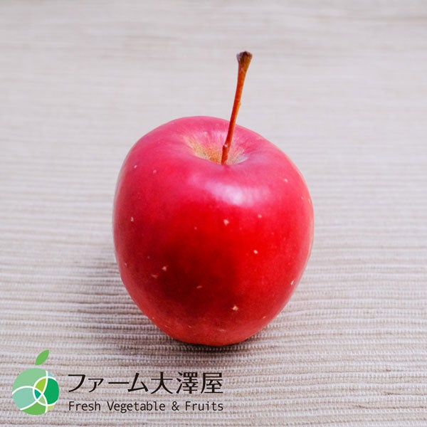 ファーム大澤屋 アルプス乙女 家庭用 約1kg(15-40玉): 全農長野