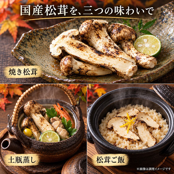 ファーム大澤屋 松茸 約400g(つぼみ): 全農長野 僕らはおいしい応援団