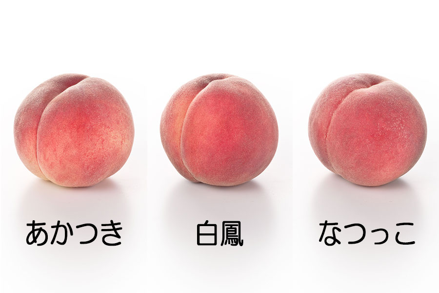 JAグリーン長野 輝々桃 中玉約3kg(11玉)×1箱【贈答箱】7月21日-8月10