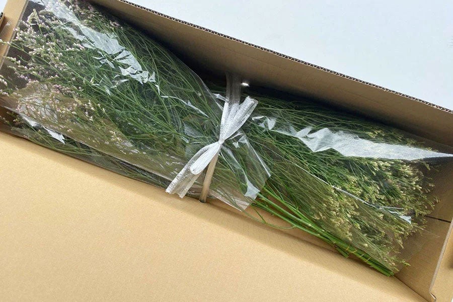 産地直送 通販 お取り寄せjaグリーン長野 ハイブリッドスターチス 切り花10本 60 70cm前後 5月24日以降発送 全農長野 僕らはおいしい応援団 jaタウン 産地直送 通販 お取り寄せjaグリーン長野 ハイブリッドスターチス 切り花10本 60 70cm前後 5月24日以降発送 全農長野 僕らはおいしい応援団 jaタウン