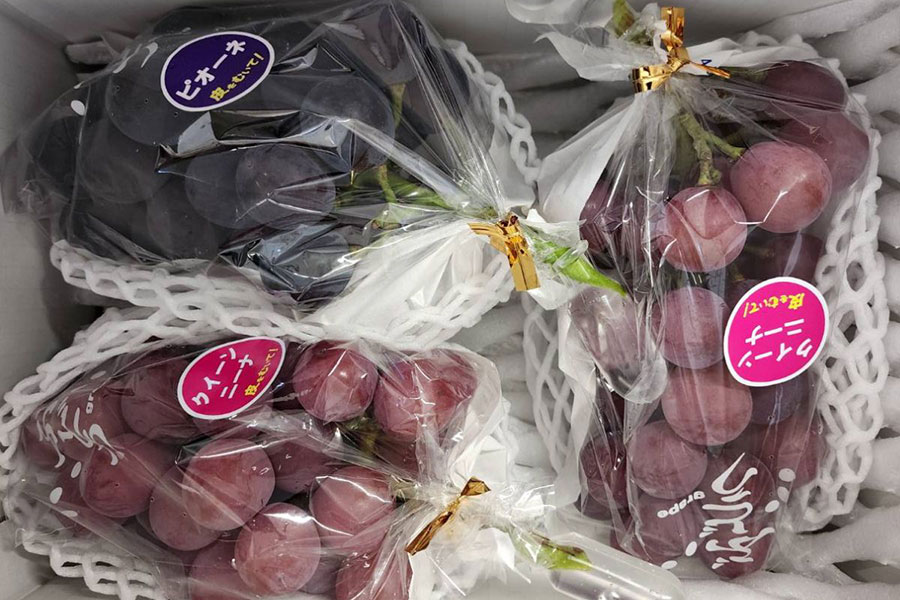 エヌワンファーム 園主オススメぶどう詰め合わせ 3種以上(約2kg): 全農