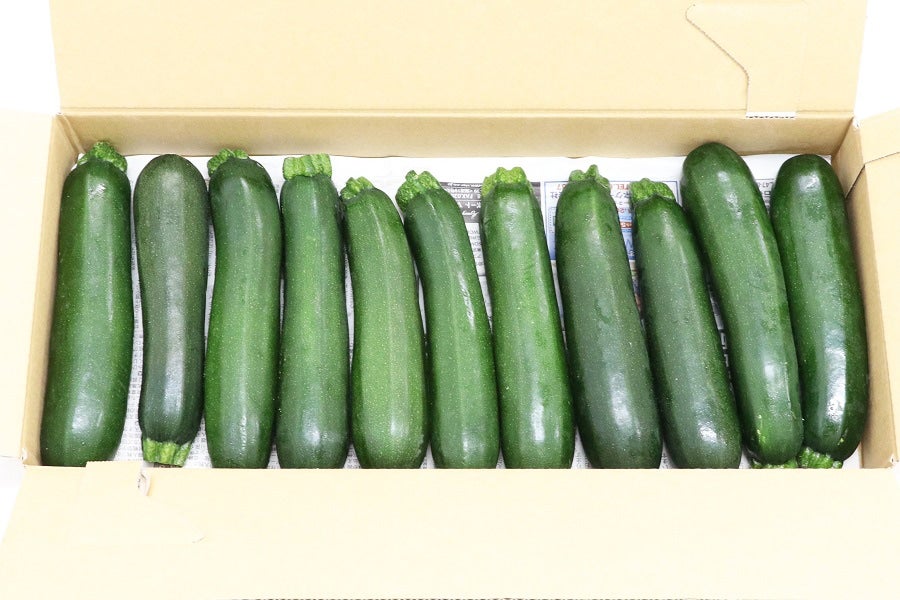 産地直送 通販 お取り寄せja松本ハイランド ズッキーニ 約2kg 11本 業務用にも 全農長野 僕らはおいしい応援団 ｊａタウン