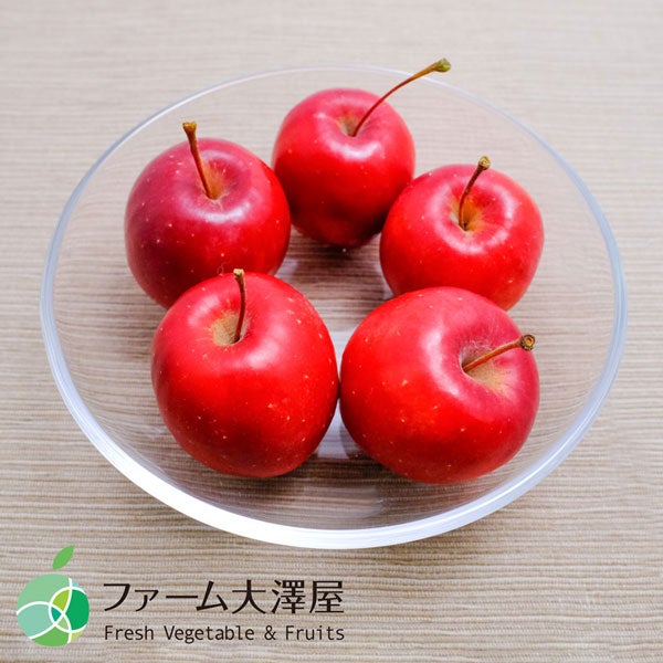 ファーム大澤屋 アルプス乙女 家庭用 約5kg(75-200玉): 全農長野