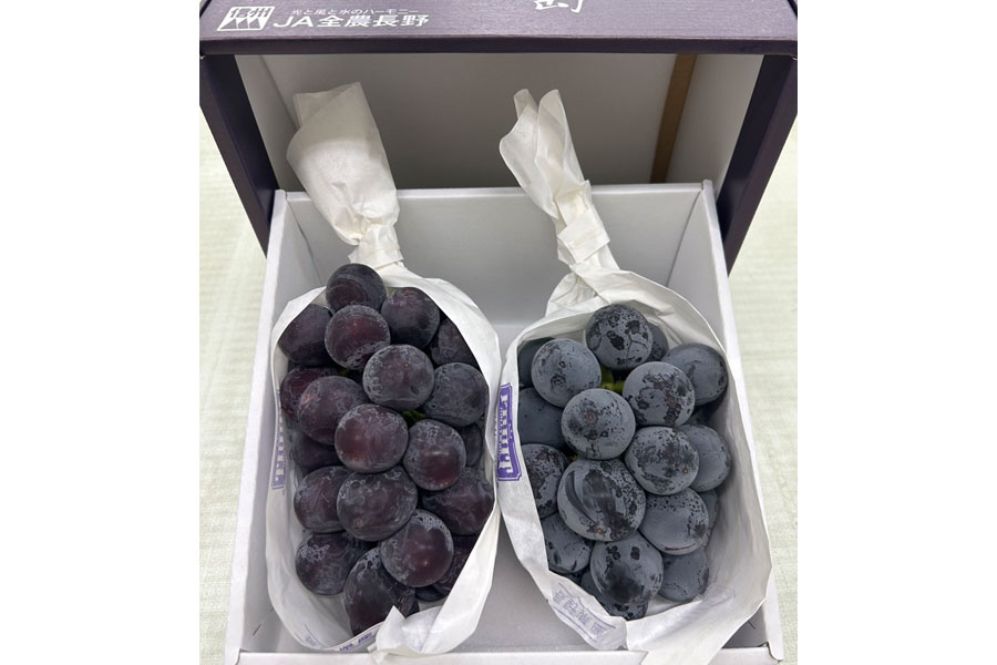JA全農長野 種なし巨峰 2房(約850g)【化粧箱】: 全農長野 僕らは